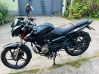 Bajaj Pulsar 135 2013 Motorbike