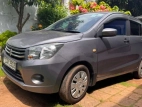 Suzuki Celerio 2015 Car
