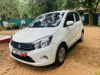 Suzuki Celerio ZXI 2015 Car