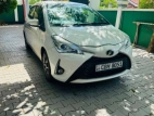 Toyota Vitz 2019 Car