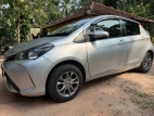 Toyota Vitz 2015 Car