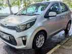 Kia Picanto 2017 Car
