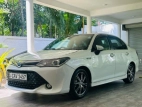 Toyota Axio WXB 2016 Car