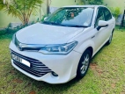 Toyota Axio 2015 Car