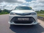 Toyota Axio 2015 Car