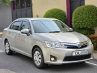 Toyota Axio G Grade 2013 Car