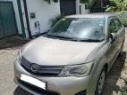 Toyota Axio 2012 Car
