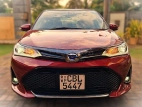 Toyota Axio WXB 2019 Car