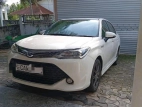 Toyota Axio Hybrid WXB 2017 Car