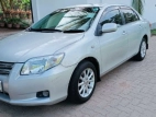 Toyota Axio 2008 Car