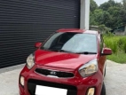 Kia Picanto 2017 Car