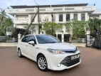Toyota Axio G Grade 2015 Car