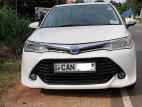Toyota Axio G Grade 2015 Car