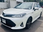 Toyota Axio WXB 2018 Car