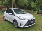 Toyota Vitz 2017 Car