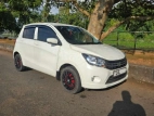 Suzuki Celerio ZXI 2015 Car