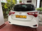 Toyota Vitz 2019 Car