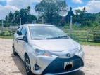 Toyota Vitz 2017 Car