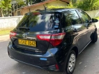 Toyota Vitz 2018 Car
