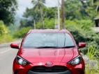 Toyota Yaris 2023 Car
