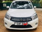 Suzuki Celerio ZXI 2015 Car