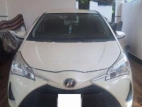 Toyota Vitz 2019 Car