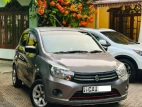 Suzuki Celerio 2015 Car