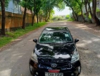 Toyota Prius 2013 Car