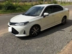 Toyota Axio 2018 Car