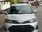 Toyota Axio Fielder 2024 Car