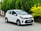 Kia Picanto 2017 Car