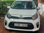 Kia Picanto 2017 Car