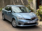Toyota Axio 2013 Car