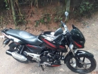 Bajaj Pulsar 135 2009 Motorbike