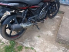 Bajaj Pulsar 135 2019 Motorbike