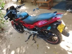 Bajaj Pulsar 150 2016 Motorbike