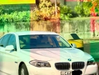 BMW 520d 2013 Car