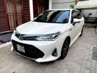 Toyota Axio 2018 Car